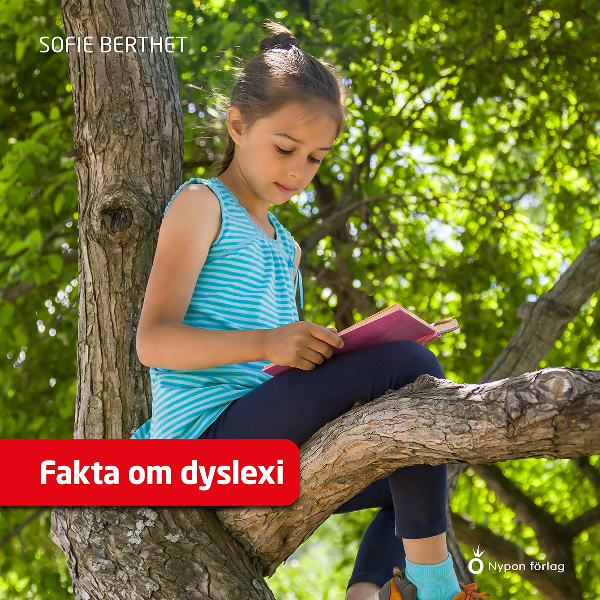 Fakta om dyslexi – Ljudbok