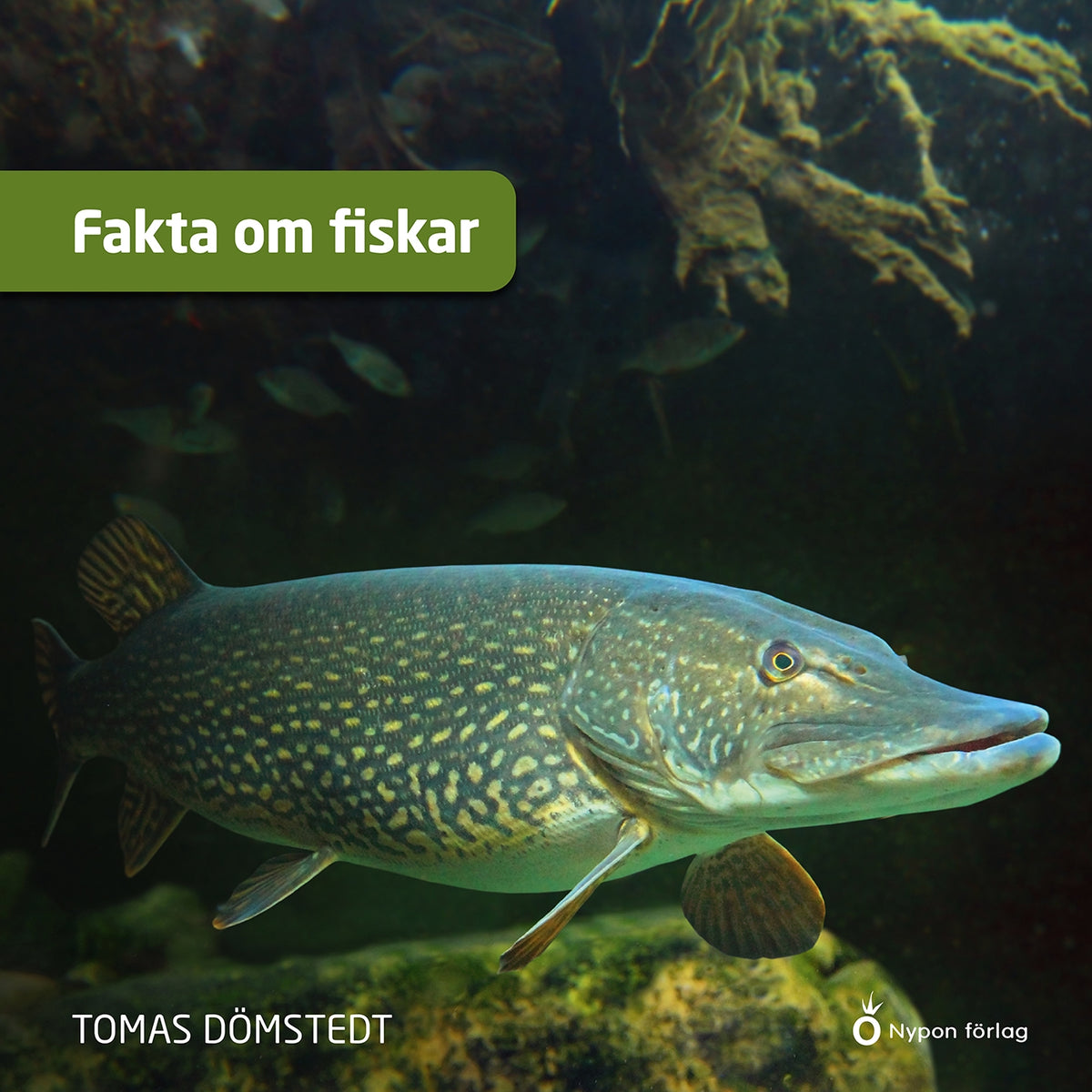 Fakta om fiskar – Ljudbok