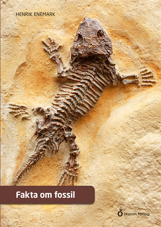 Fakta om fossil – E-bok