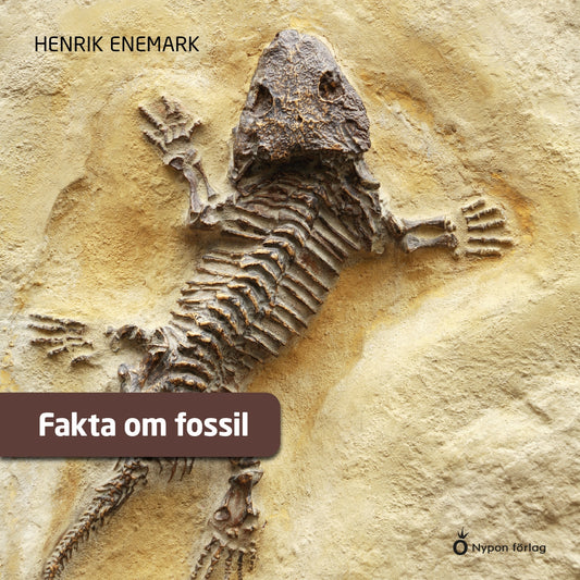 Fakta om fossil – Ljudbok