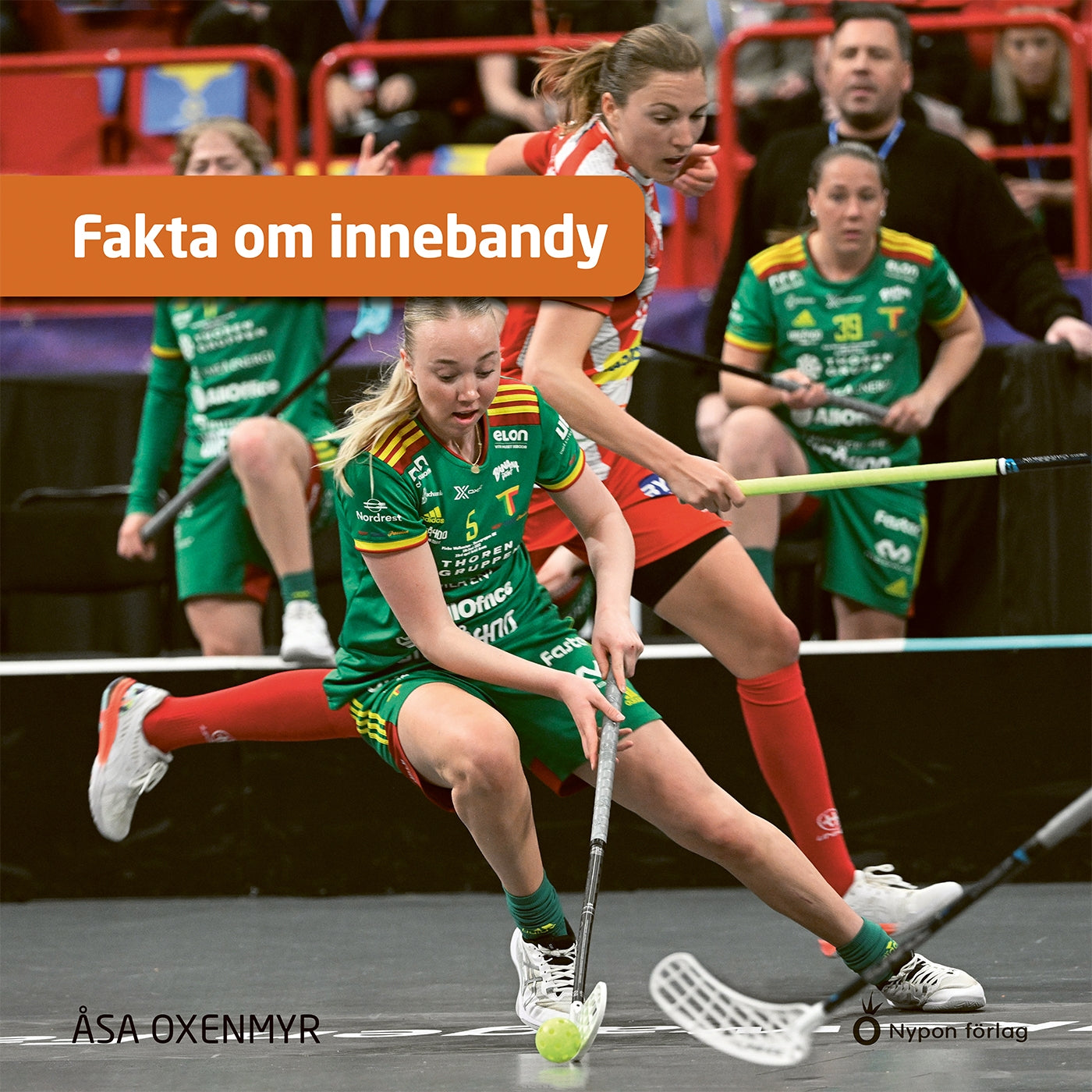 Fakta om innebandy – Ljudbok