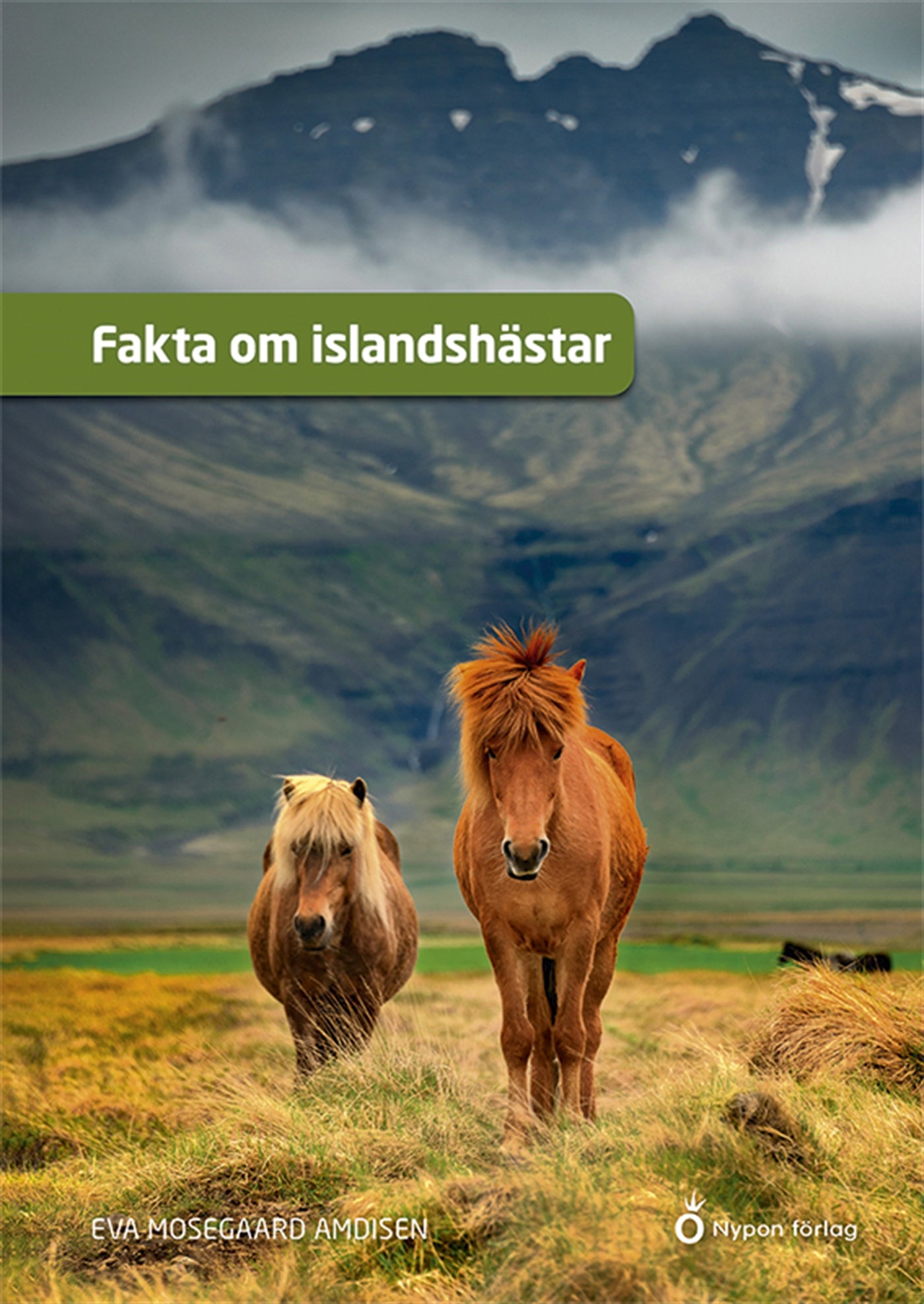 Fakta om islandshästar – E-bok