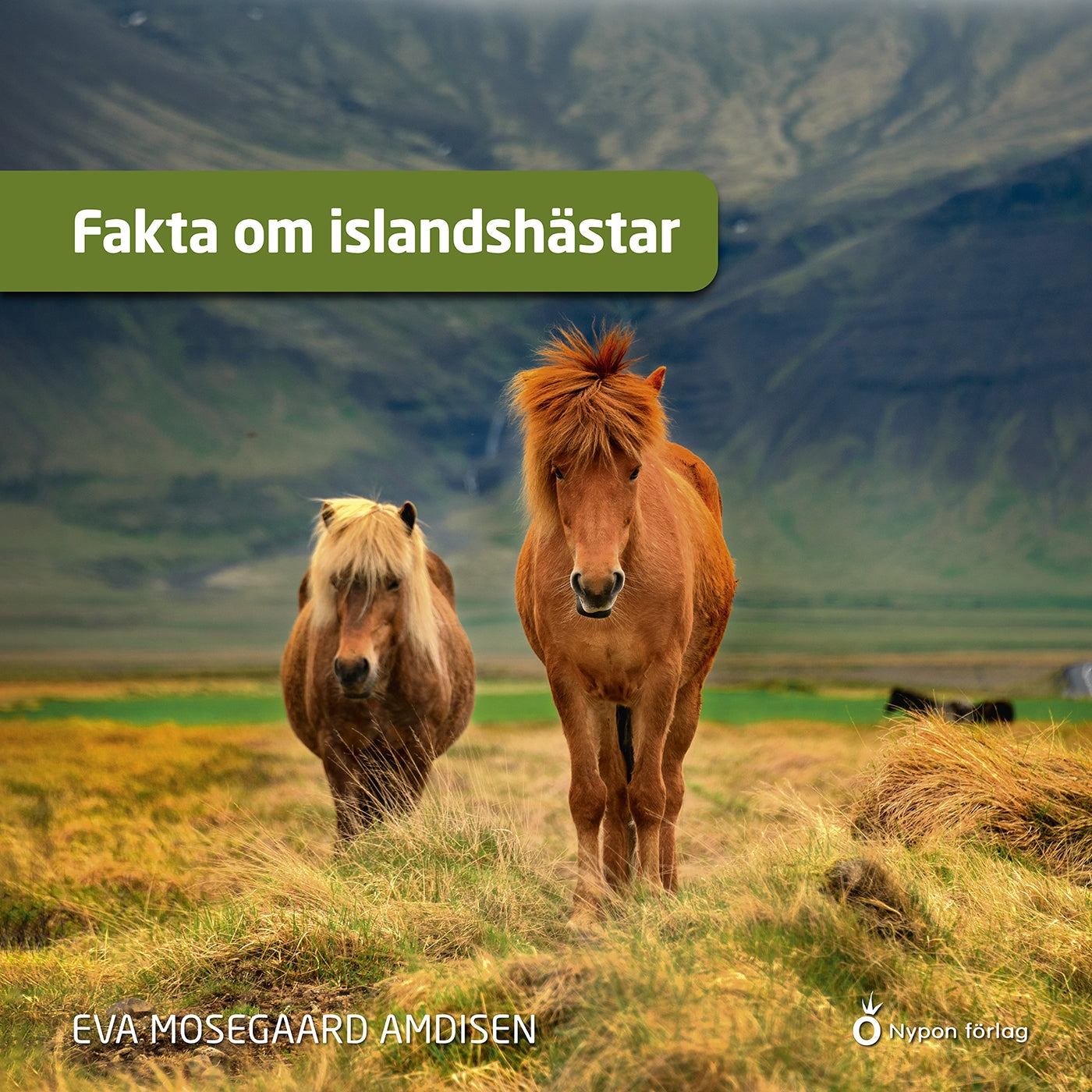 Fakta om islandshästar – Ljudbok