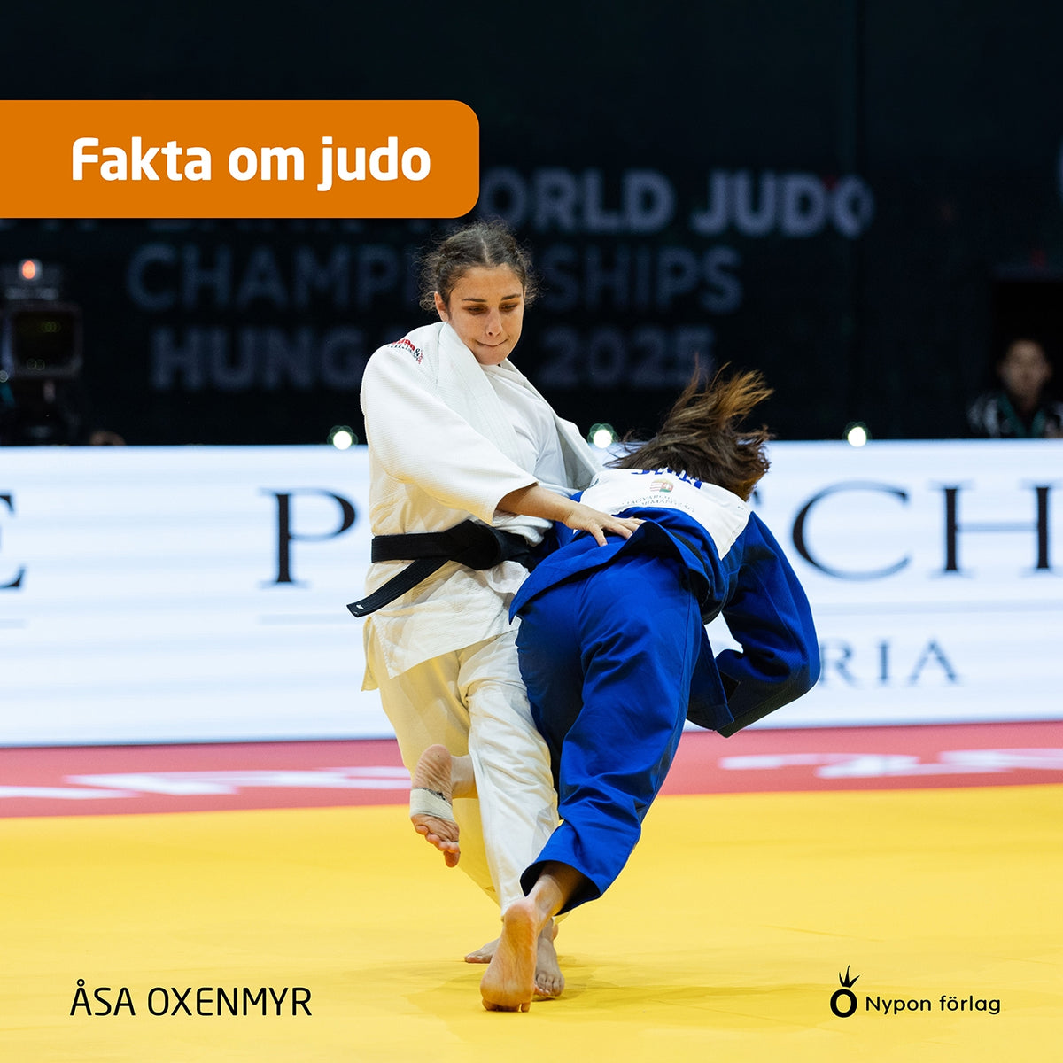 Fakta om judo – Ljudbok
