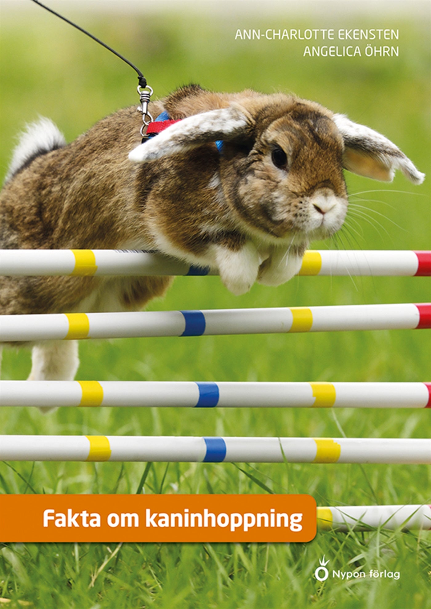 Fakta om kaninhoppning – Ljudbok