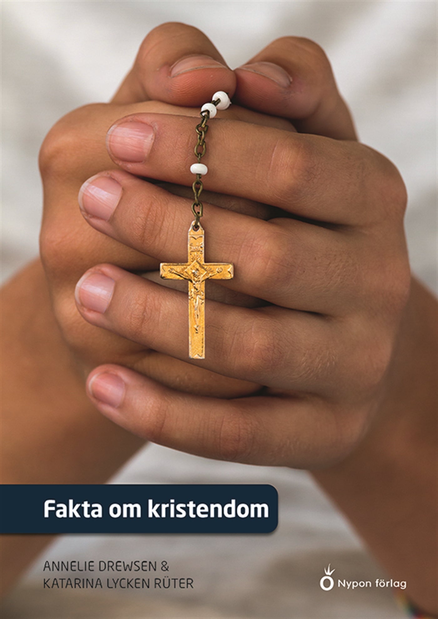 Fakta om kristendom – E-bok