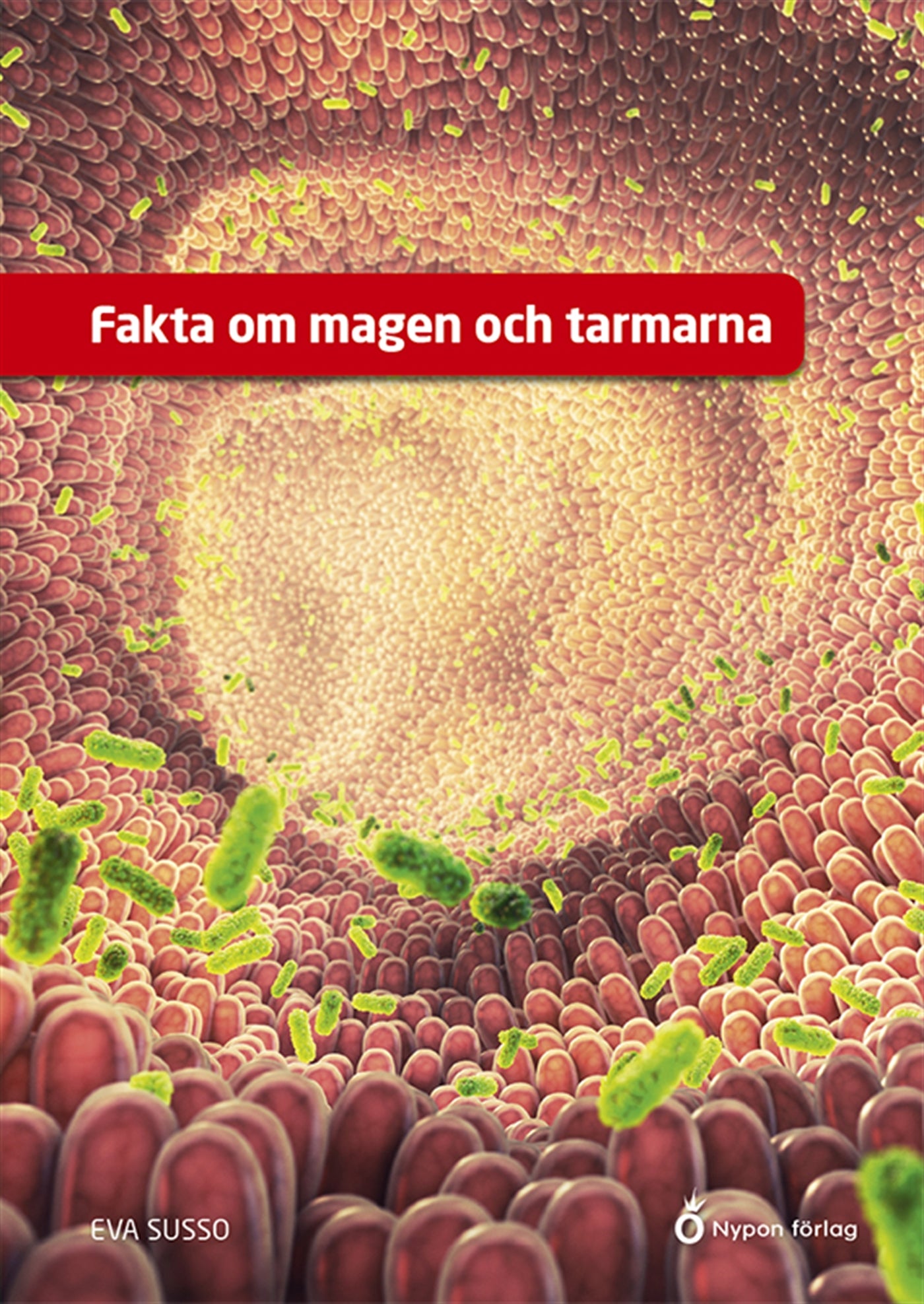 Fakta om magen och tarmarna – E-bok
