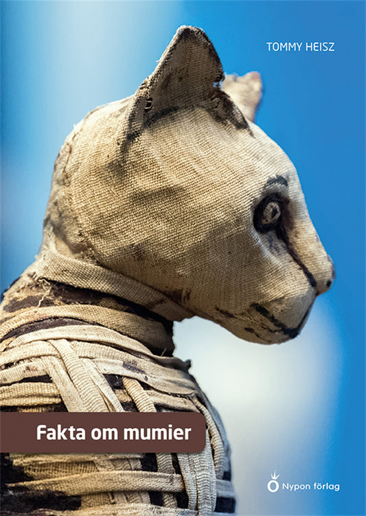Fakta om mumier – E-bok