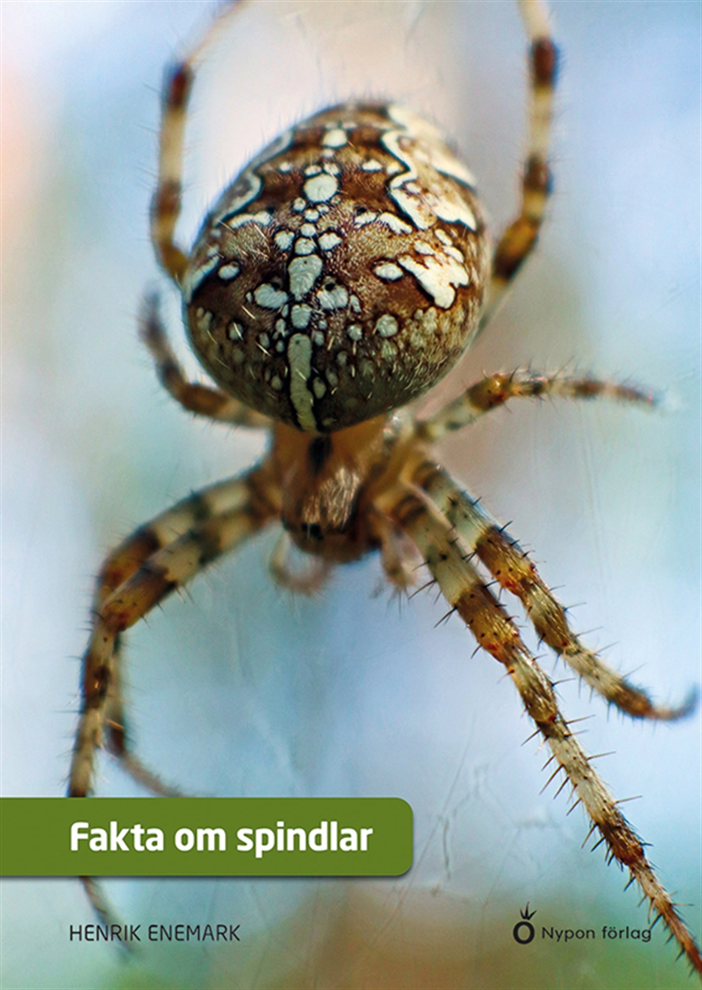 Fakta om spindlar – E-bok
