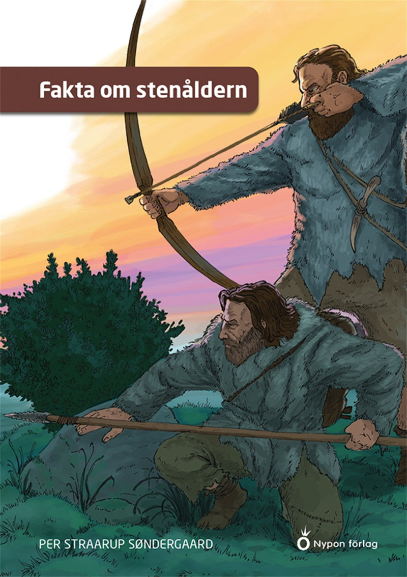 Fakta om stenåldern – Ljudbok