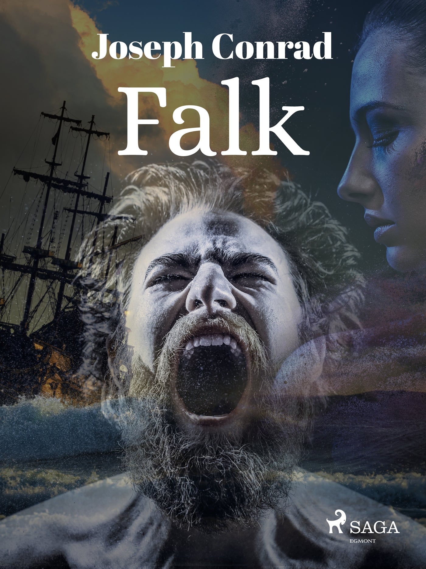 Falk – E-bok