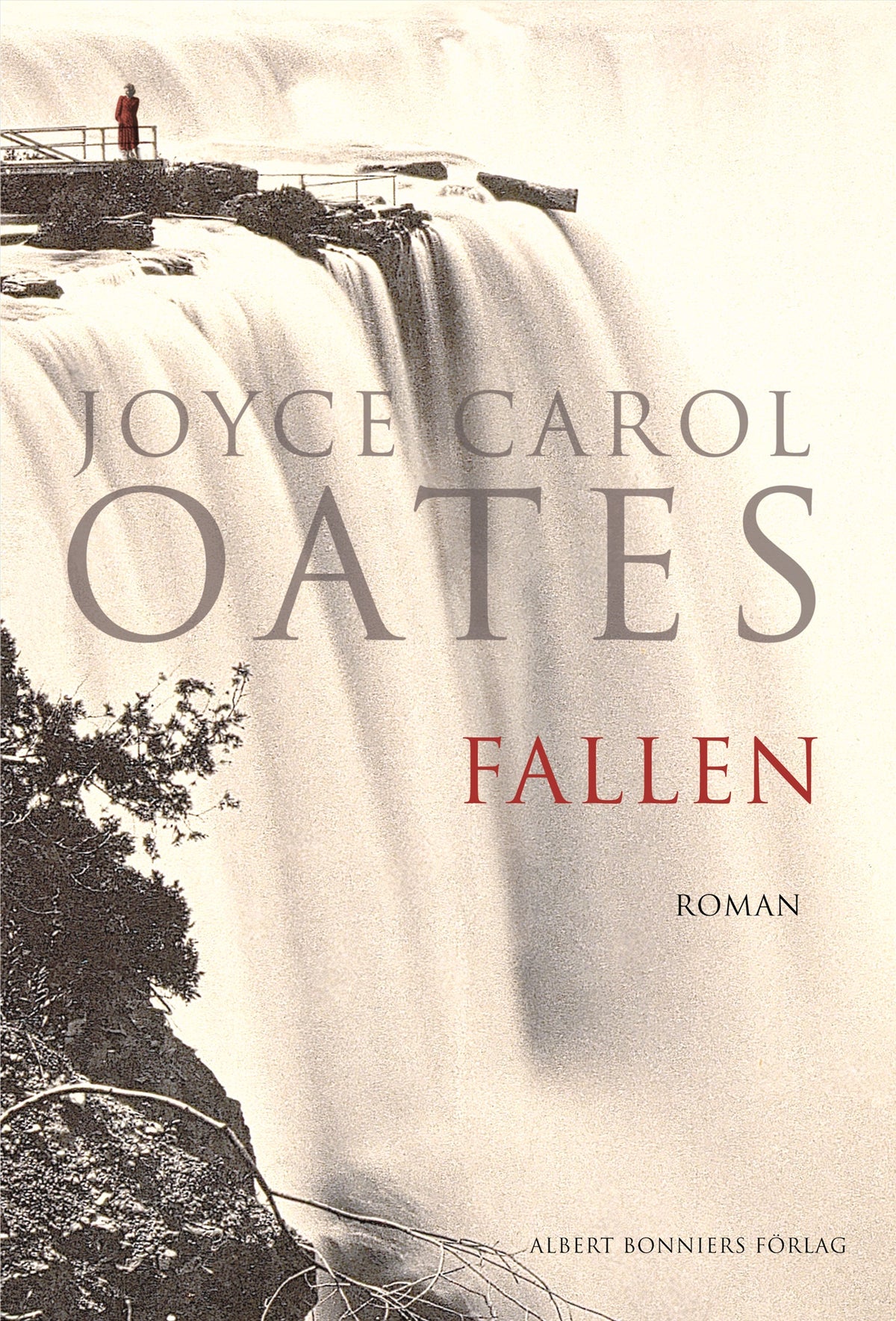 Fallen – E-bok