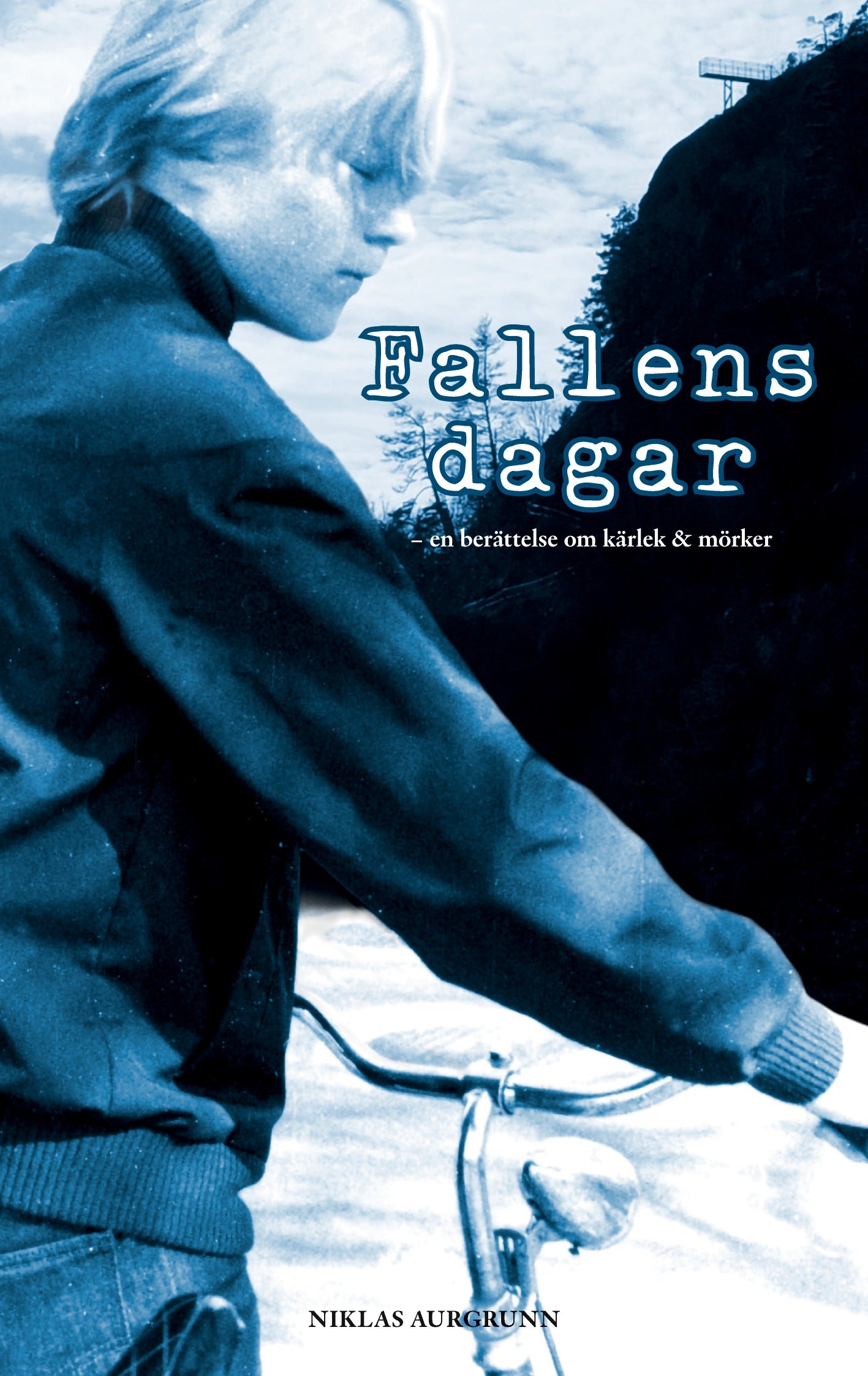 Fallens dagar – E-bok