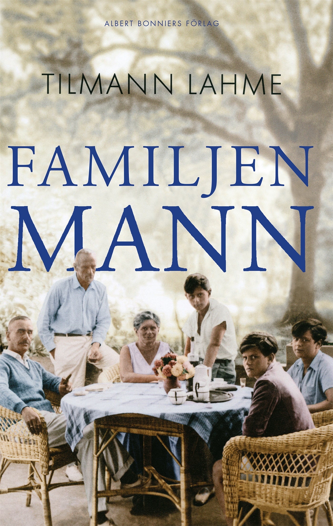 Familjen Mann – E-bok