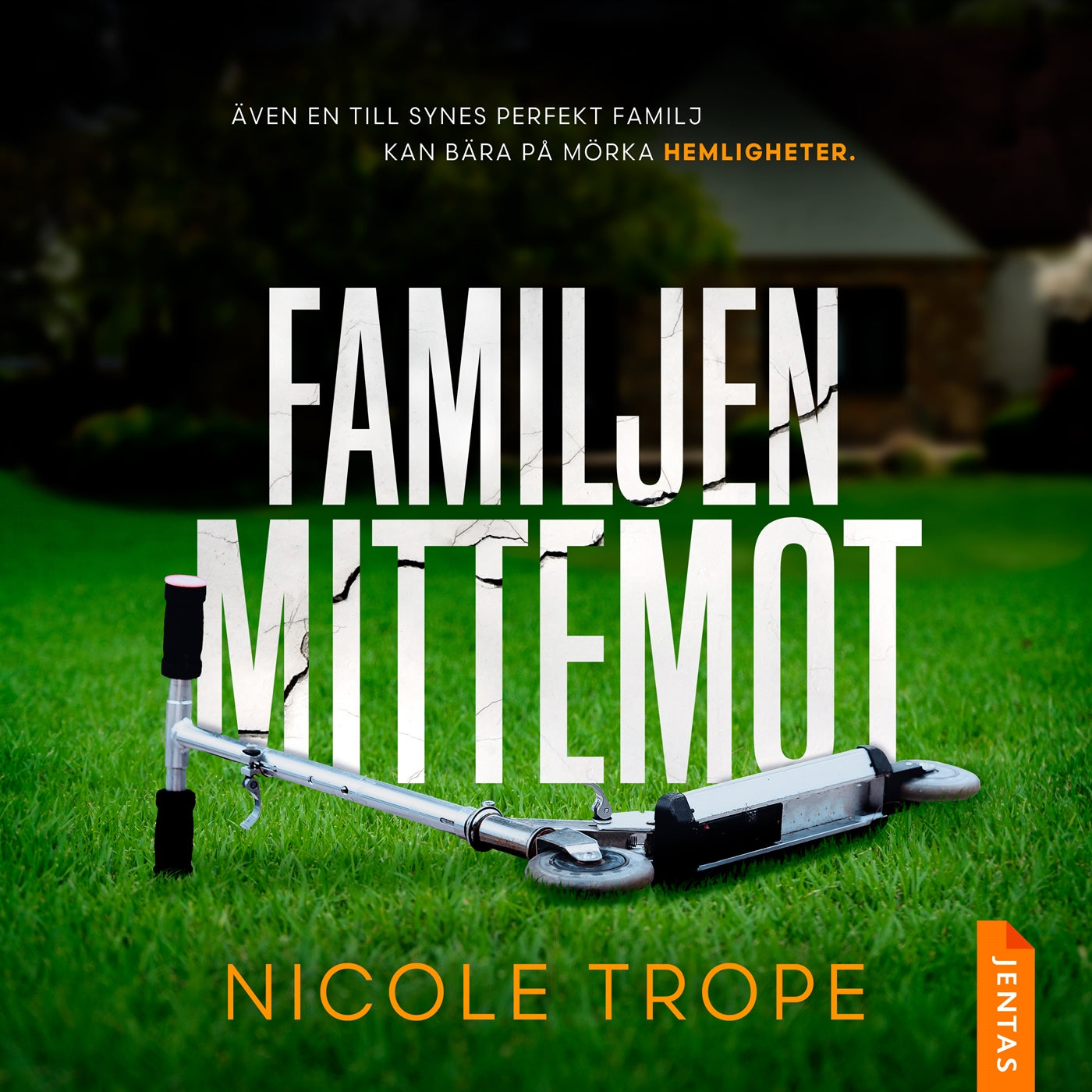 Familjen mittemot – Ljudbok