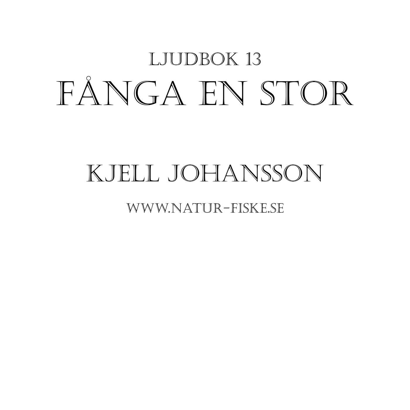 Fånga en Stor – Ljudbok