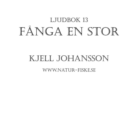 Fånga en Stor – Ljudbok