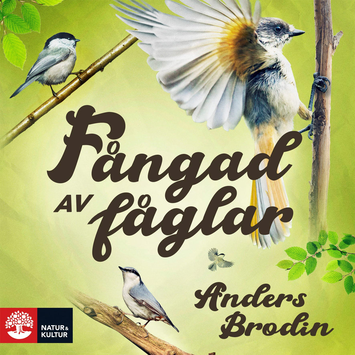 Fångad av fåglar – Ljudbok