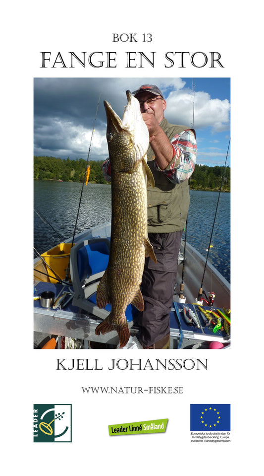 Fange en stor – E-bok