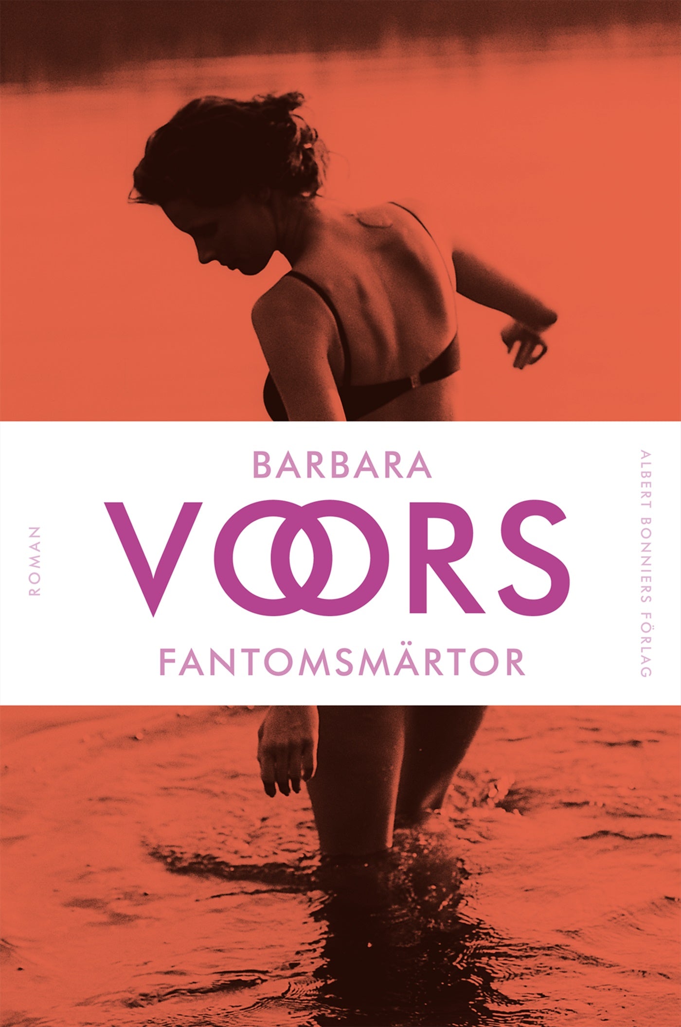 Fantomsmärtor – E-bok