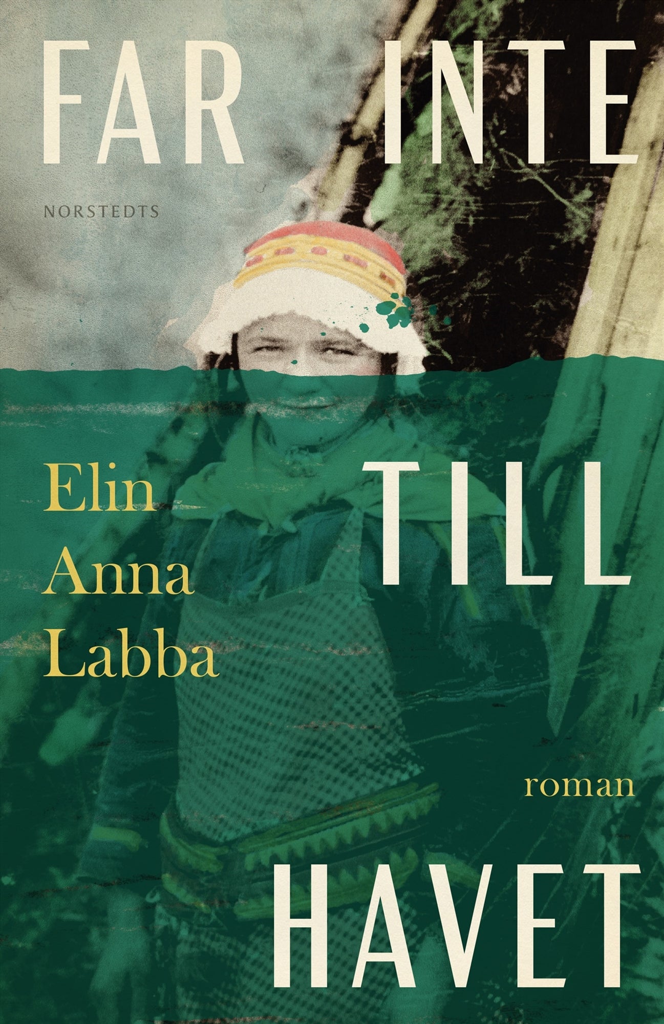 Far inte till havet – E-bok