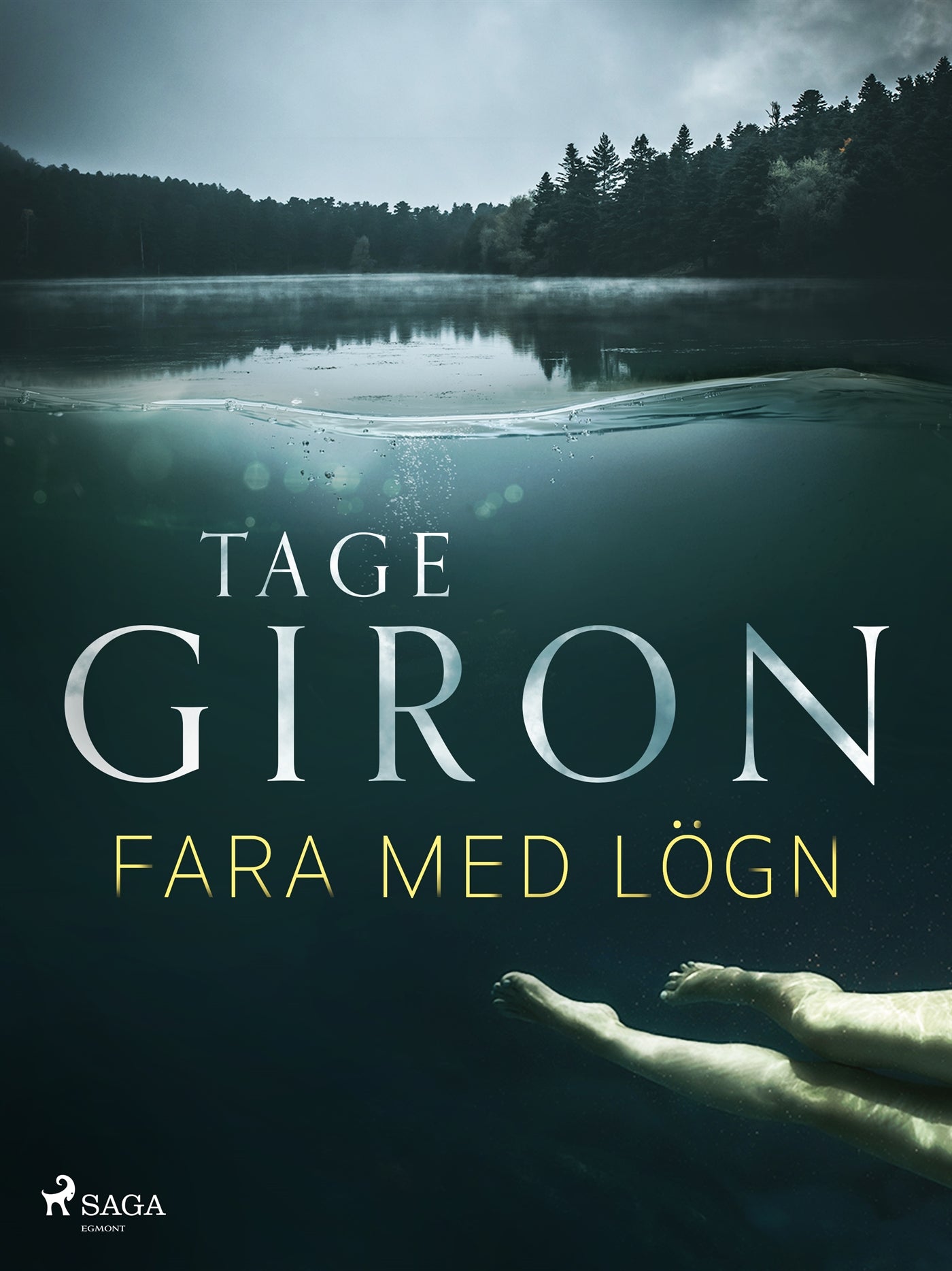 Fara med lögn – E-bok