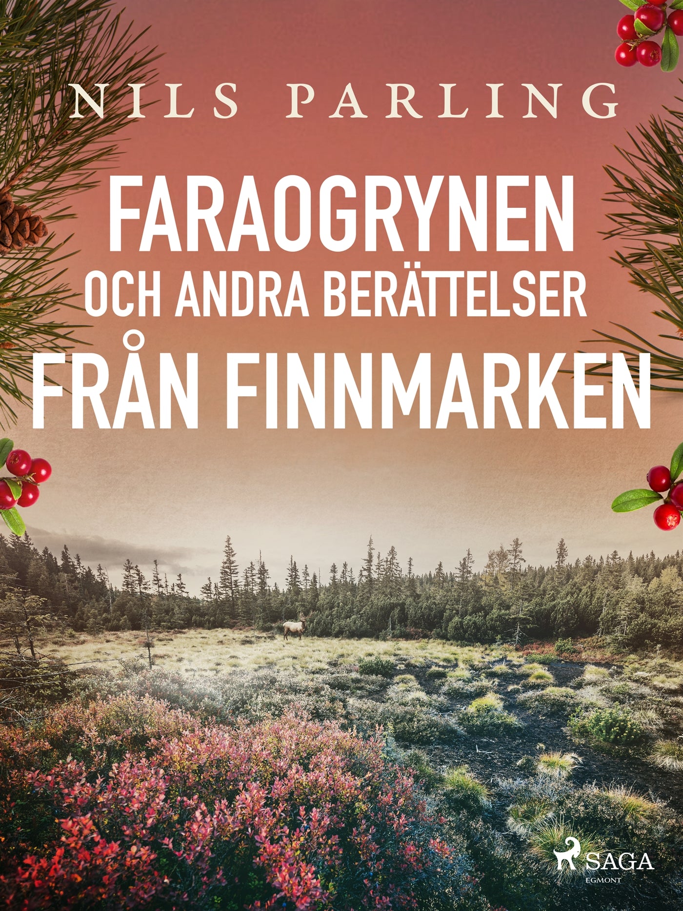 Faraogrynen och andra berättelser från Finnmarken – E-bok