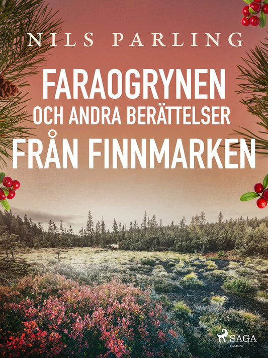 Faraogrynen och andra berättelser från Finnmarken – E-bok