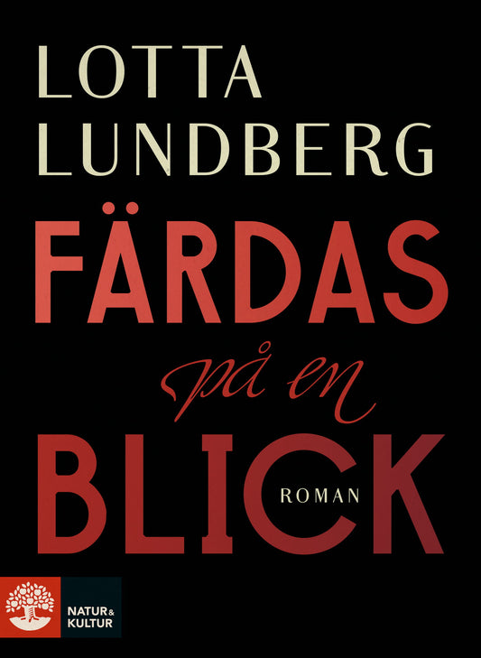 Färdas på en blick – E-bok