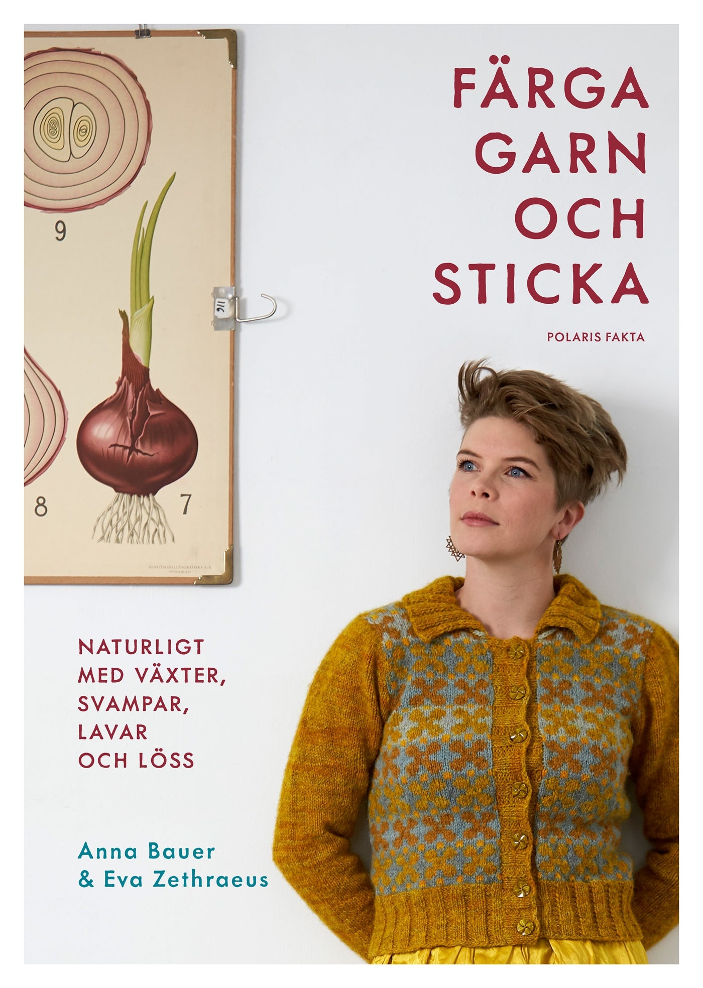 Färga garn och sticka : naturligt med växter, svampar, lavar och löss – E-bok