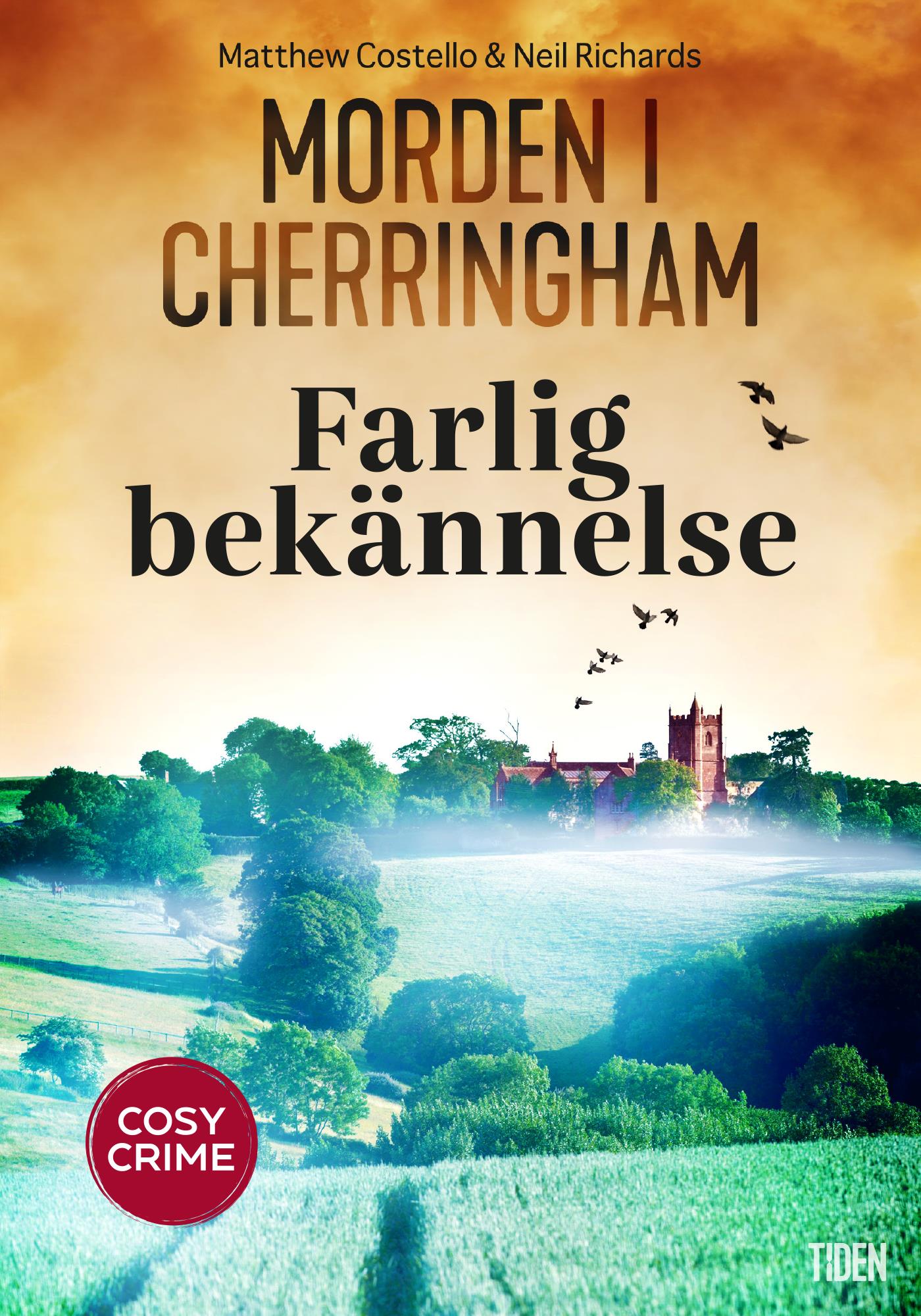 Farlig bekännelse – E-bok