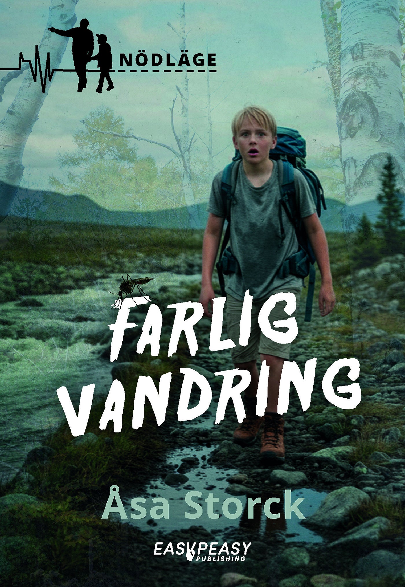 Farlig vandring – E-bok