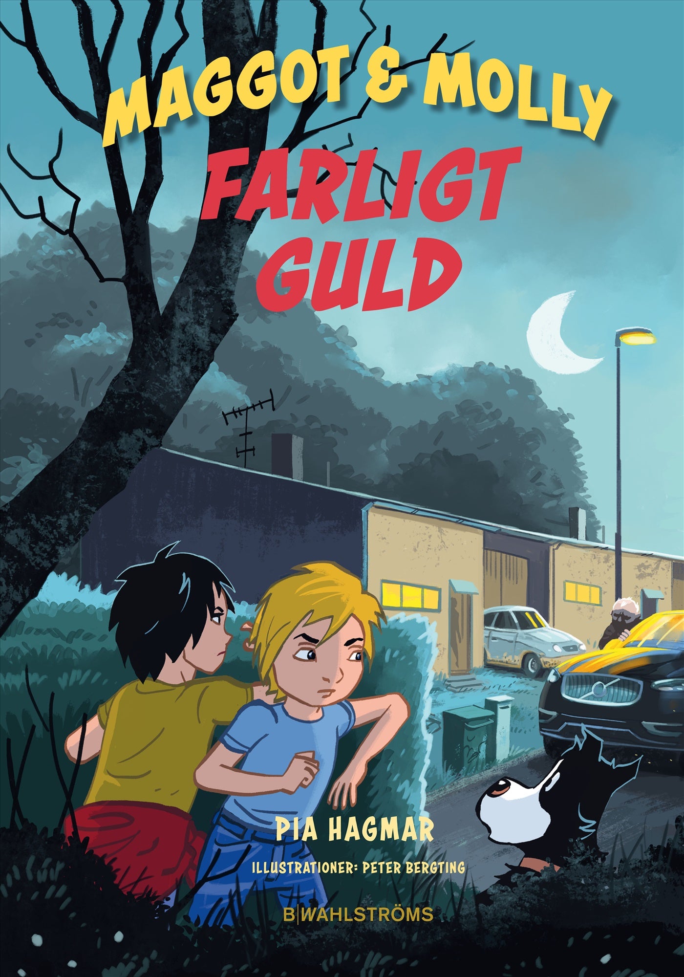 Farligt guld – E-bok