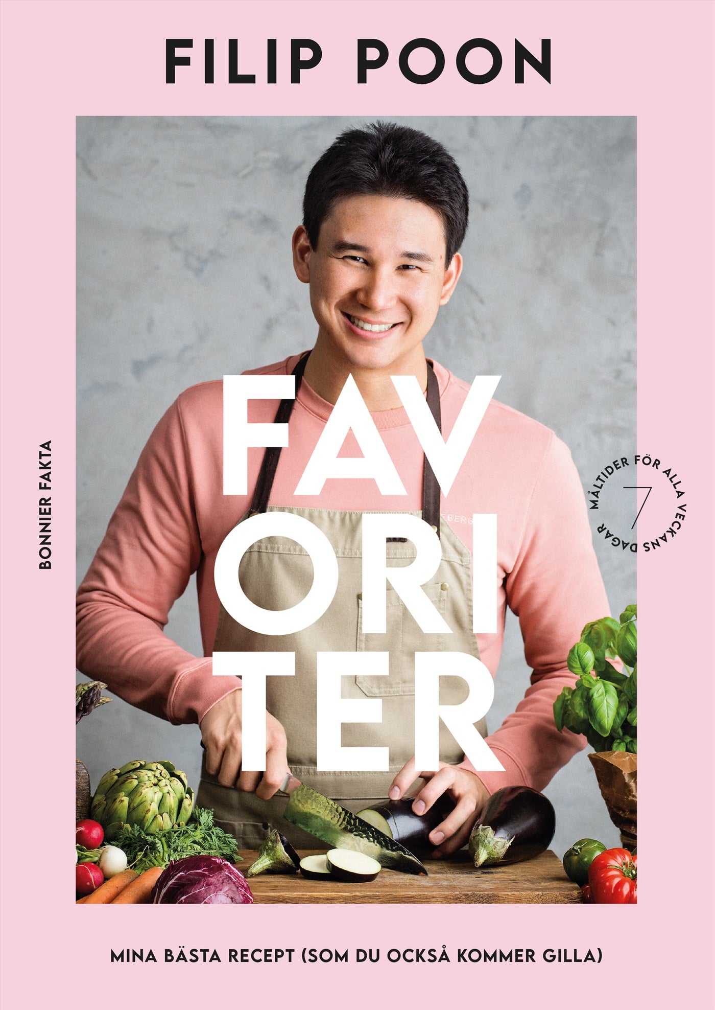Favoriter : mina bästa recept (som du också kommer gilla) – E-bok