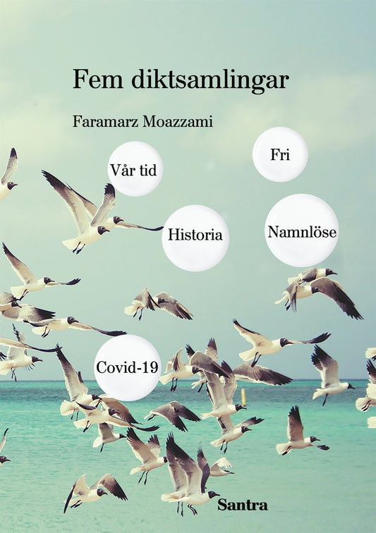 Fem diktsamlingar: Vår tid, Historia, Namnlöse, Covid 19 och Fri – E-bok