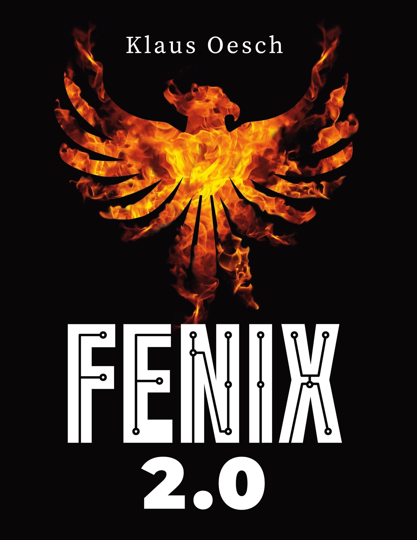 Fenix 2.0 – E-bok