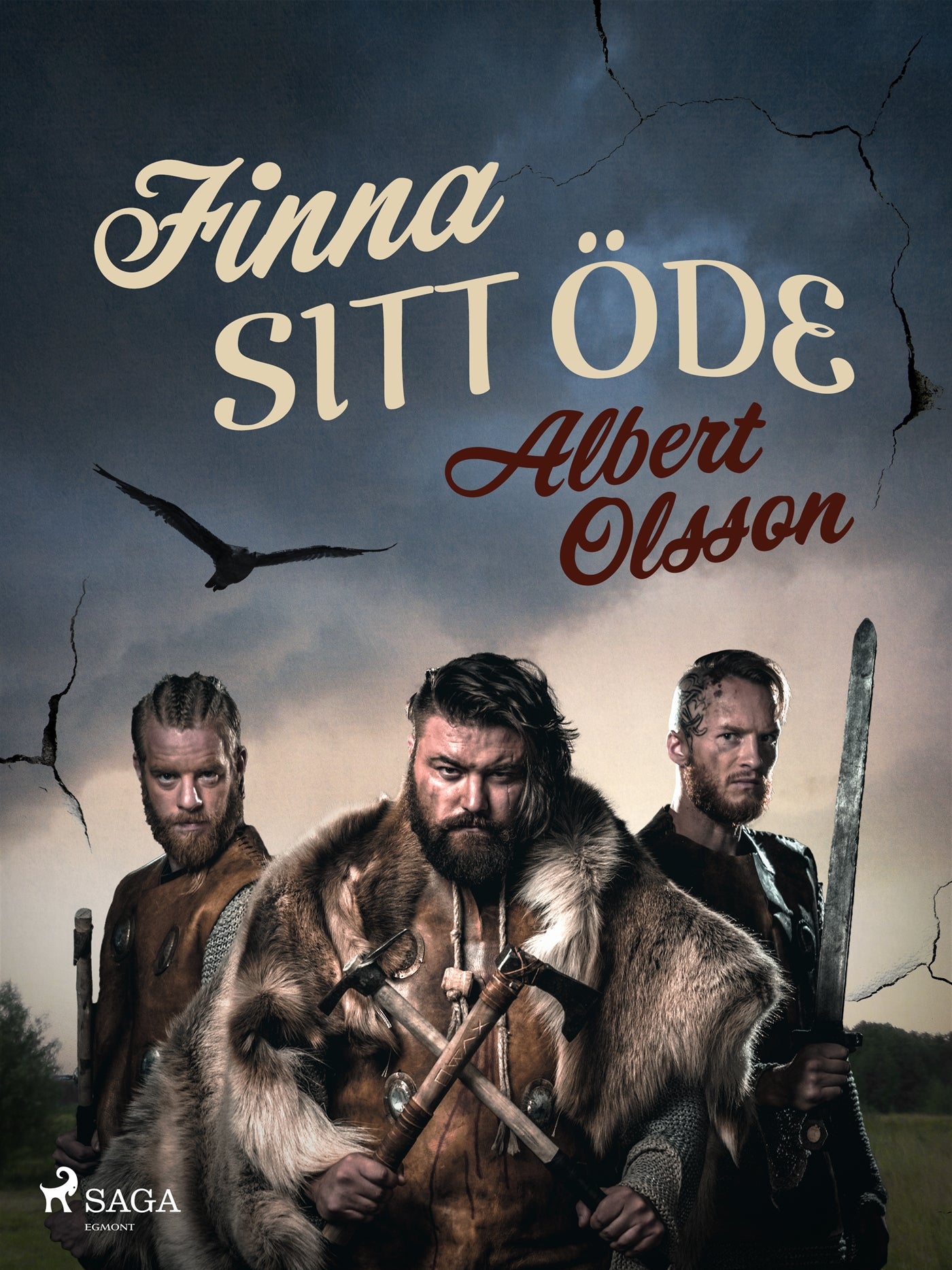 Finna sitt öde – E-bok