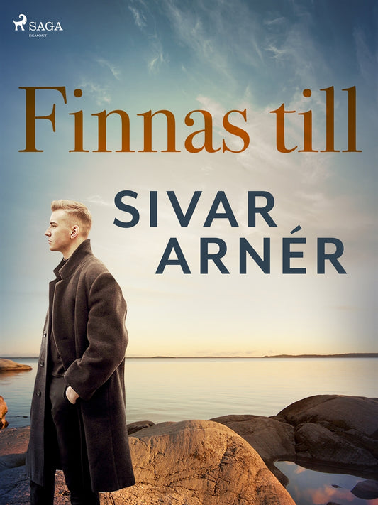 Finnas till – E-bok
