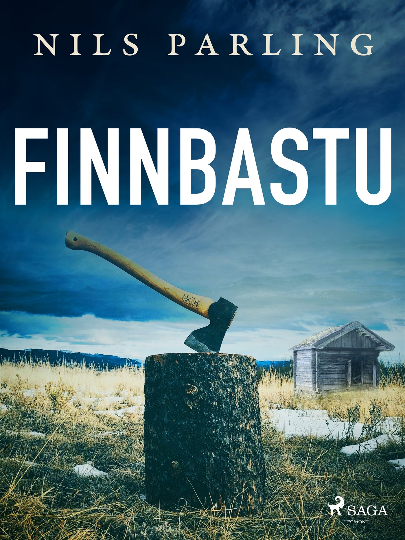 Finnbastu – E-bok
