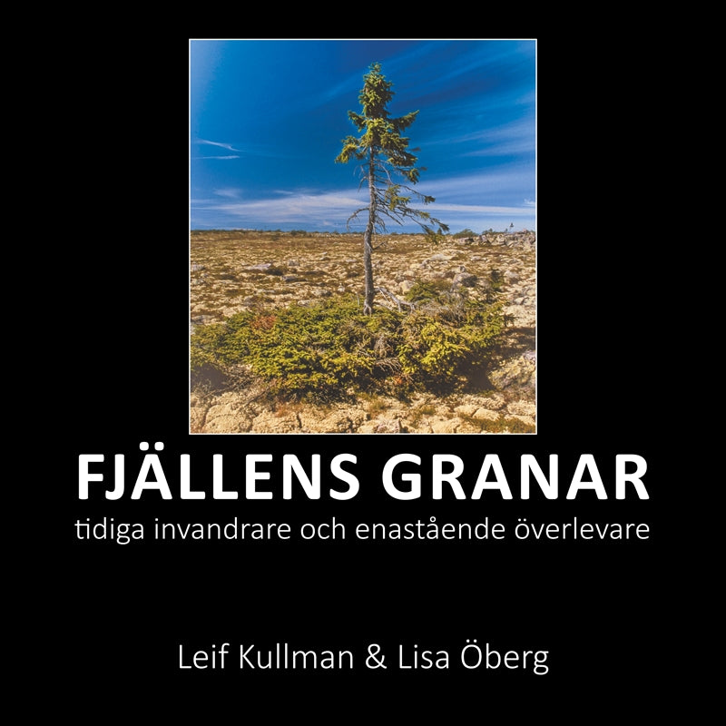 Fjällens granar: tidiga invandrare och enastående överlevare – E-bok