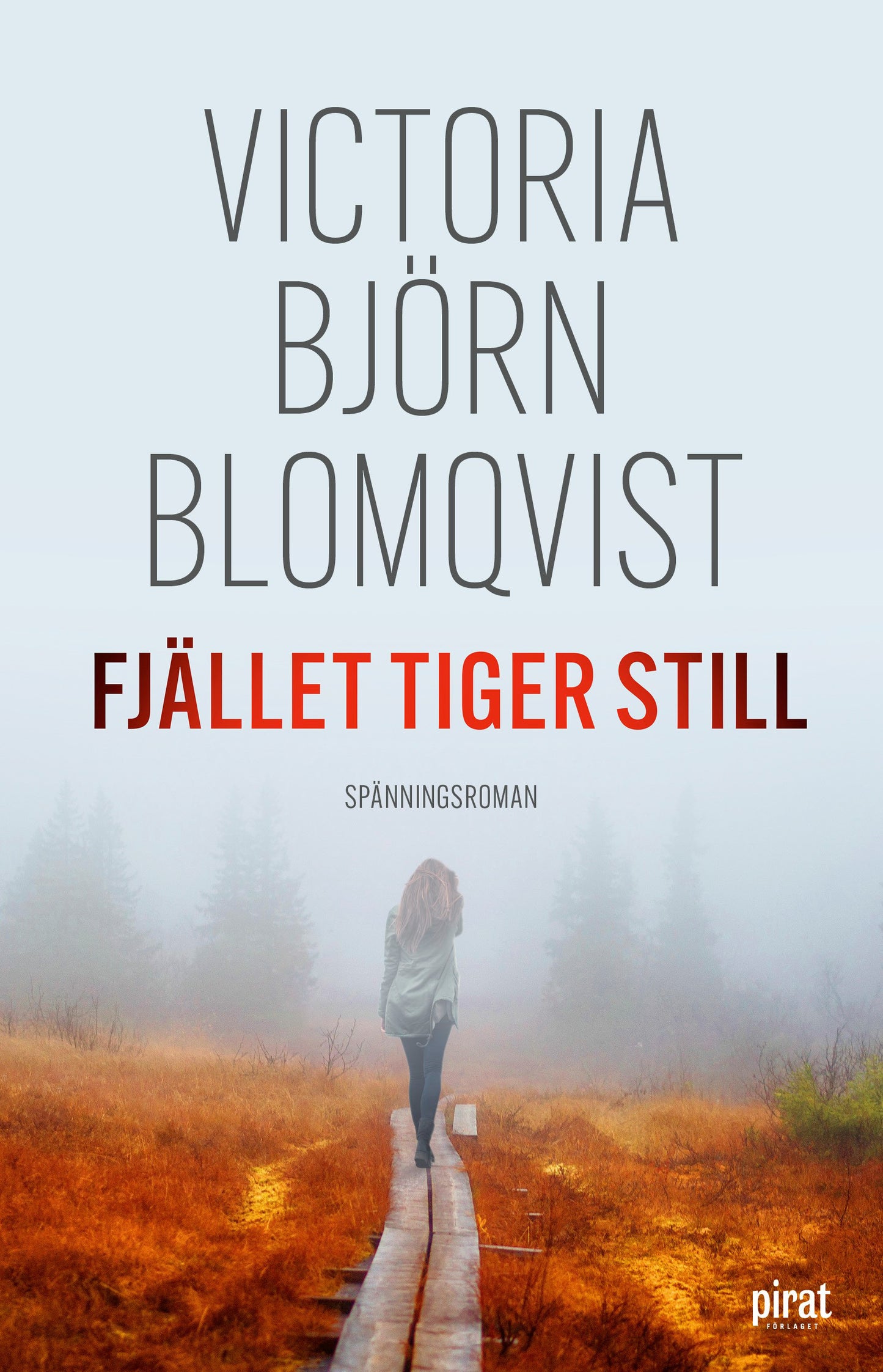 Fjället tiger still – E-bok