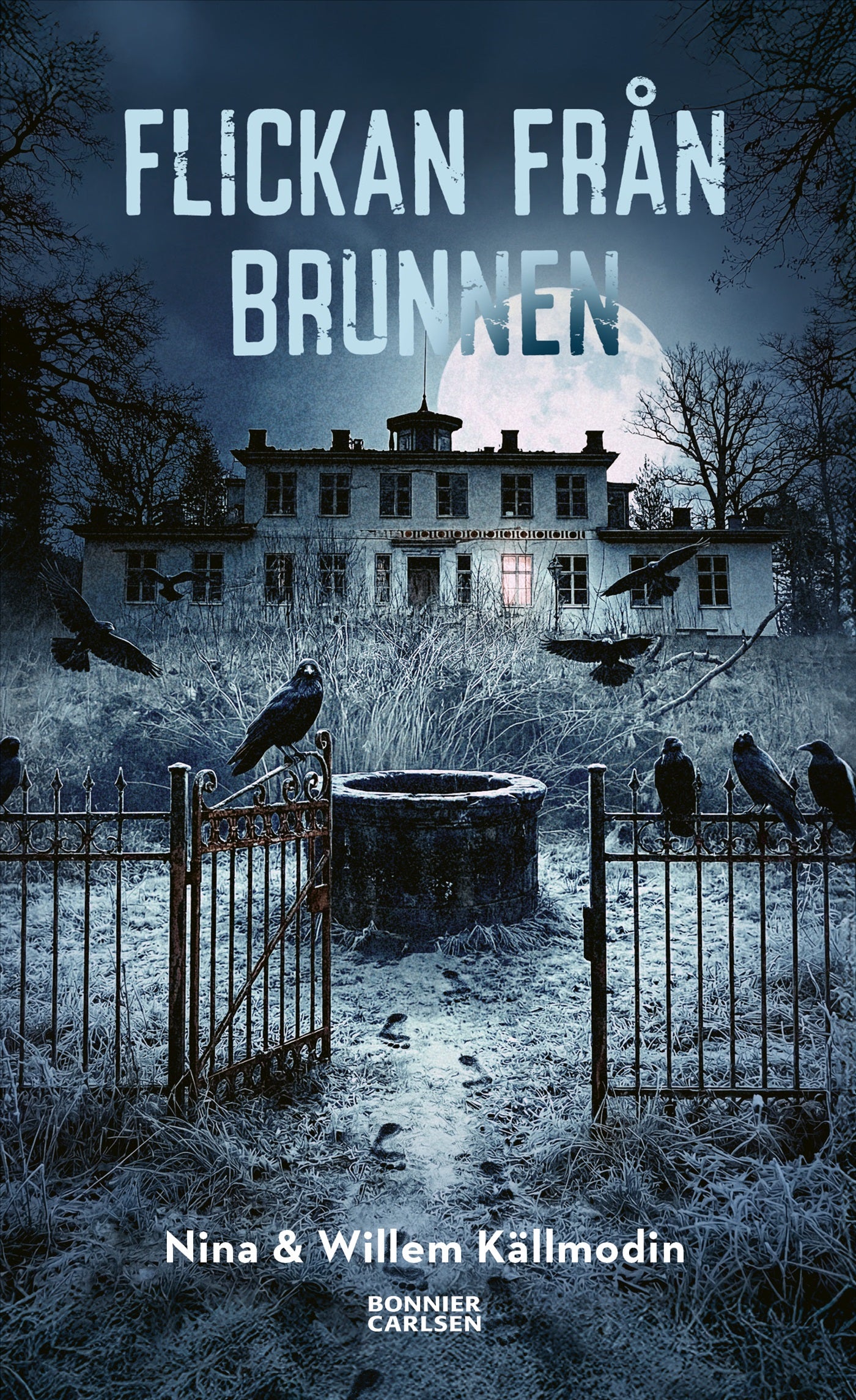 Flickan från brunnen – E-bok