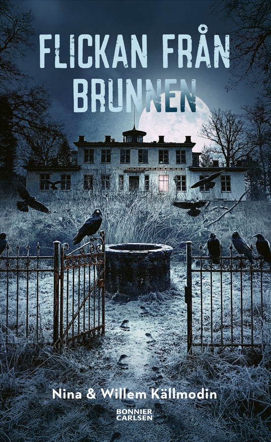Flickan från brunnen – E-bok