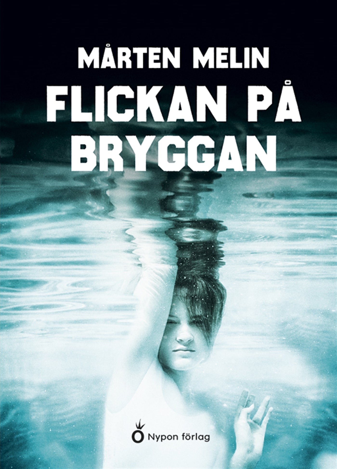 Flickan på bryggan – E-bok