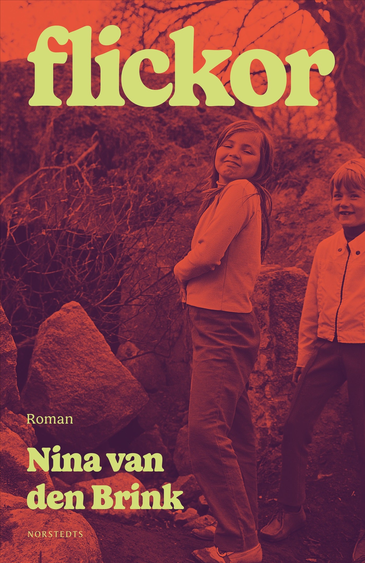 Flickor – E-bok