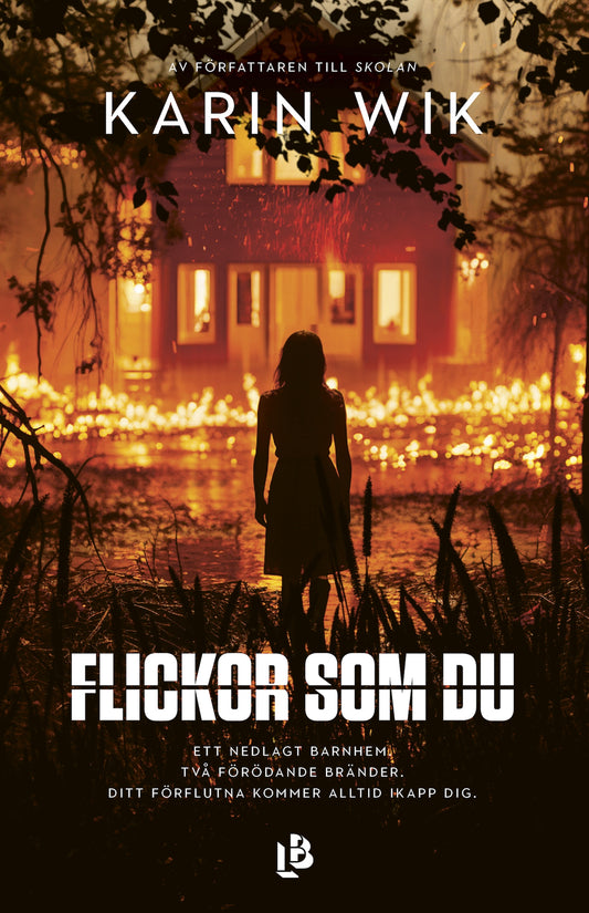 Flickor som du – E-bok