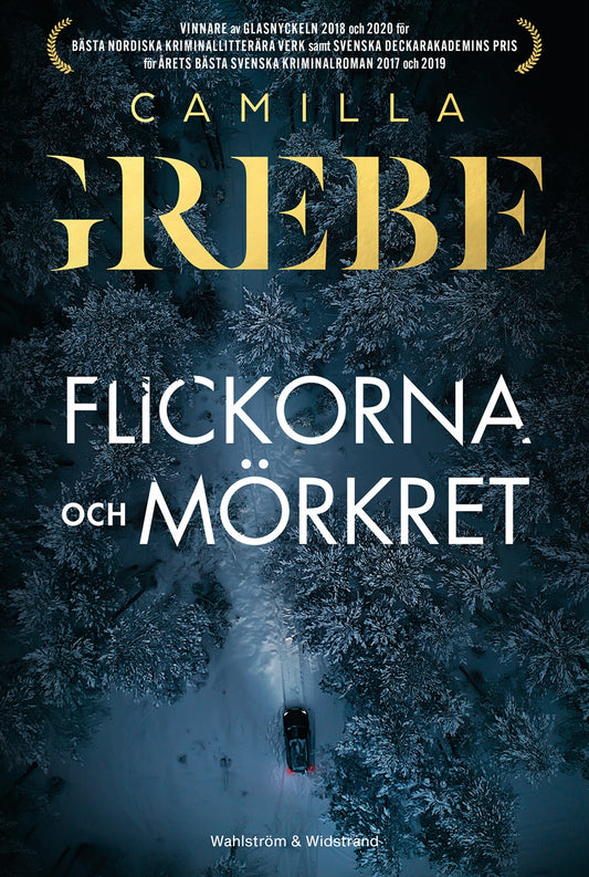 Flickorna och Mörkret – E-bok