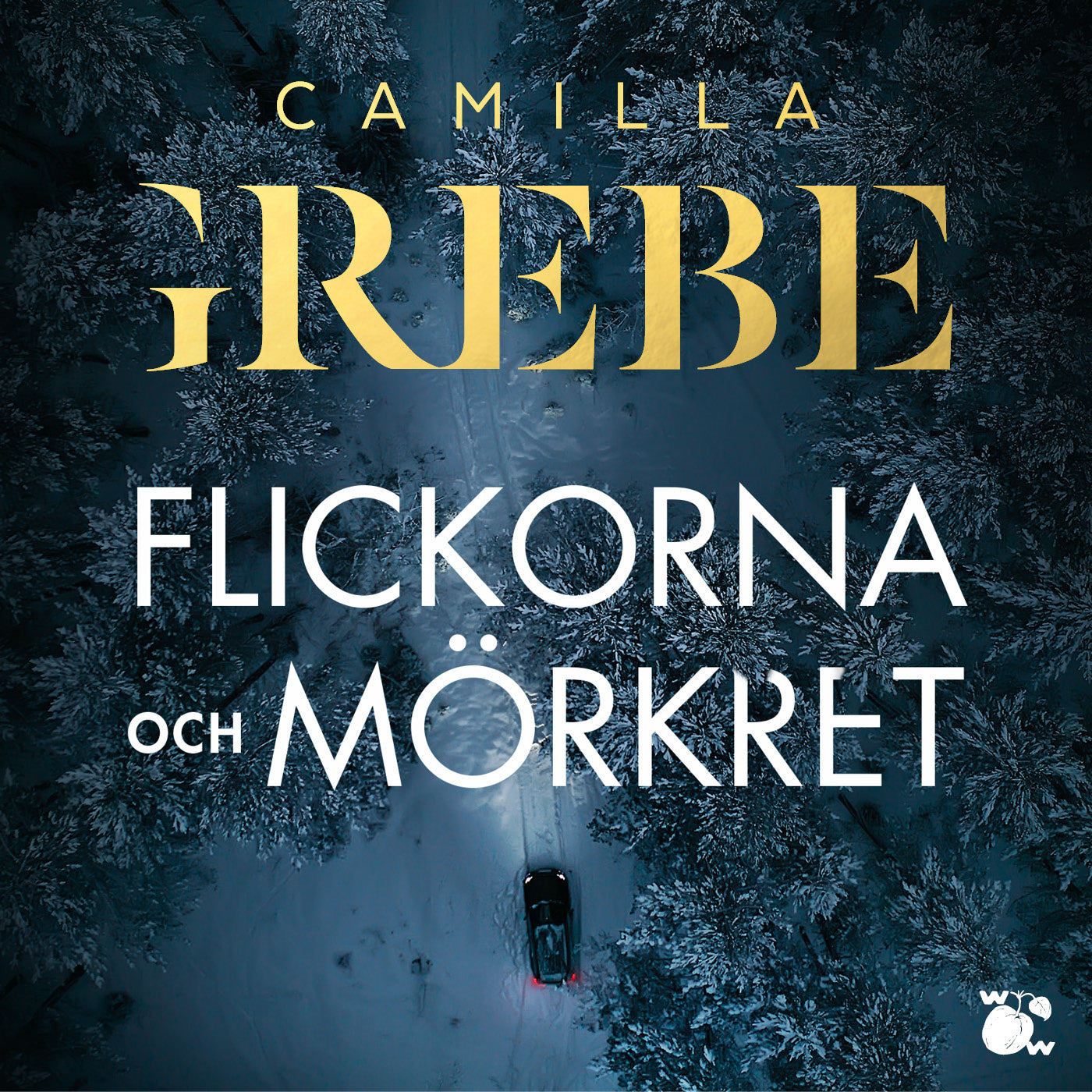Flickorna och Mörkret – Ljudbok