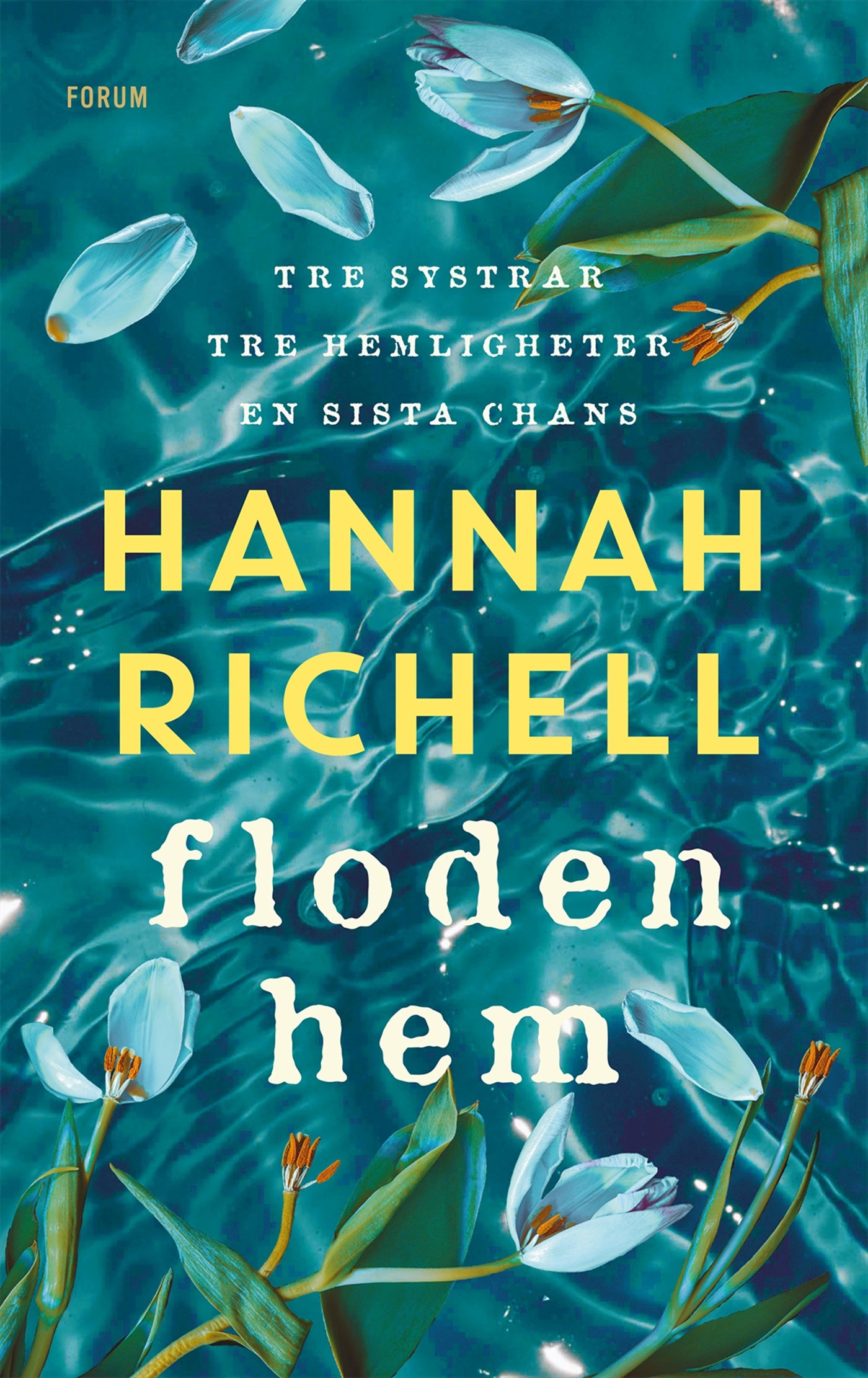 Floden hem – E-bok