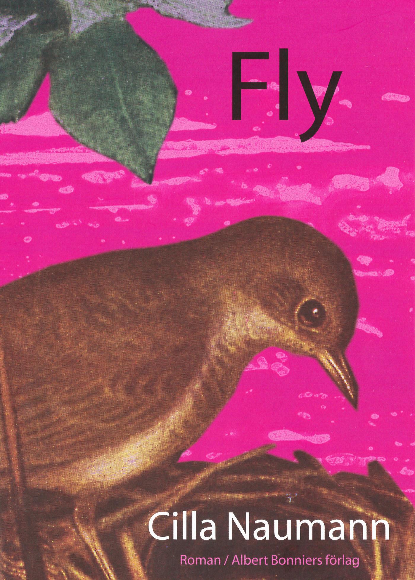 Fly – E-bok